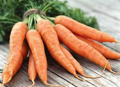Через сколько дней всходит морковь?